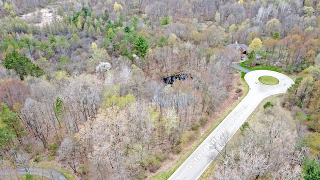 204 Astor Knolls Dr, Ortonville, MI 48462