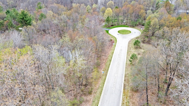 204 Astor Knolls Dr, Ortonville, MI 48462