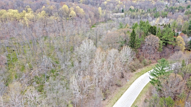 204 Astor Knolls Dr, Ortonville, MI 48462