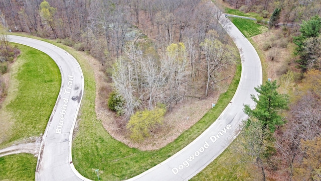 204 Astor Knolls Dr, Ortonville, MI 48462