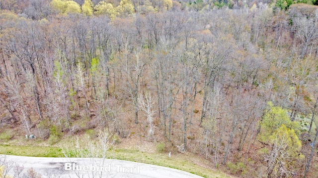 204 Astor Knolls Dr, Ortonville, MI 48462