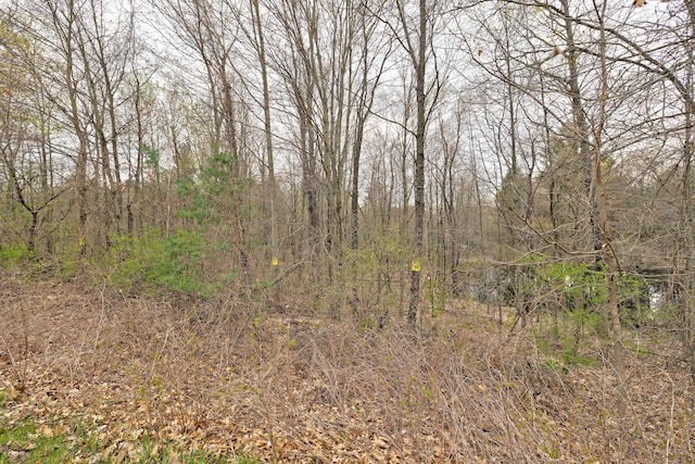 204 Astor Knolls Dr, Ortonville, MI 48462