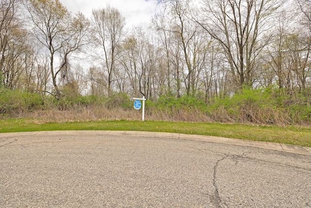 204 Astor Knolls Dr, Ortonville, MI 48462