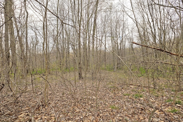 204 Astor Knolls Dr, Ortonville, MI 48462