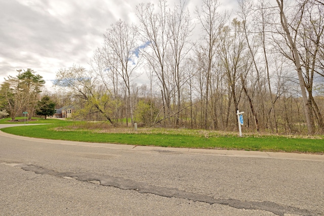 204 Astor Knolls Dr, Ortonville, MI 48462