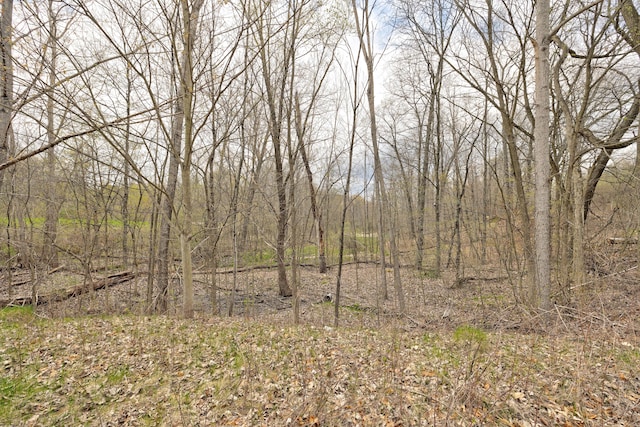 204 Astor Knolls Dr, Ortonville, MI 48462