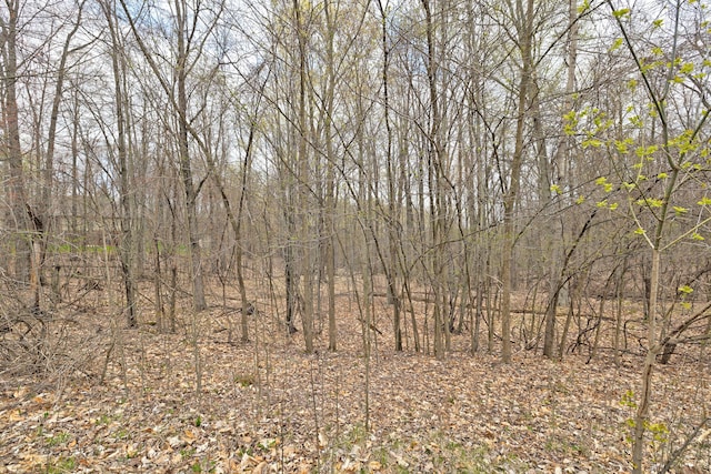 204 Astor Knolls Dr, Ortonville, MI 48462