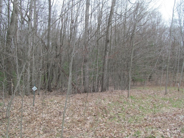 Listing photo 2 for LOT25 River Woods, Lake City MI 49651