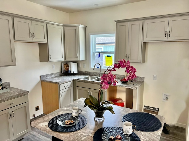 kitchen featuring gray cabinets, light hardwood / wood-style flooring, and sink