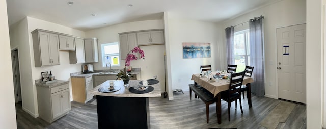 kitchen featuring gray cabinets, a wealth of natural light, and dark hardwood / wood-style floors