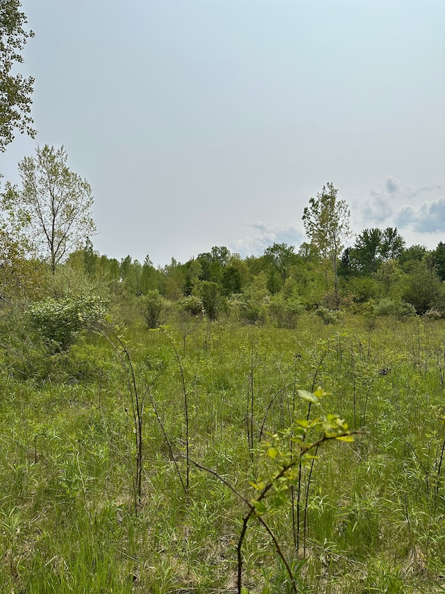 0 Main St, Armada, MI 48005