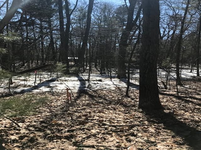 N/A E 1st St, Au Gres, MI 48703