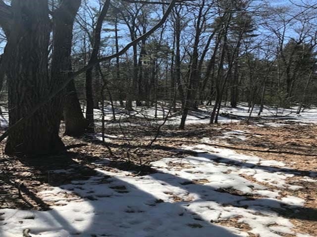 N/A E 1st St, Au Gres, MI 48703
