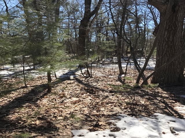 N/A E 1st St, Au Gres, MI 48703