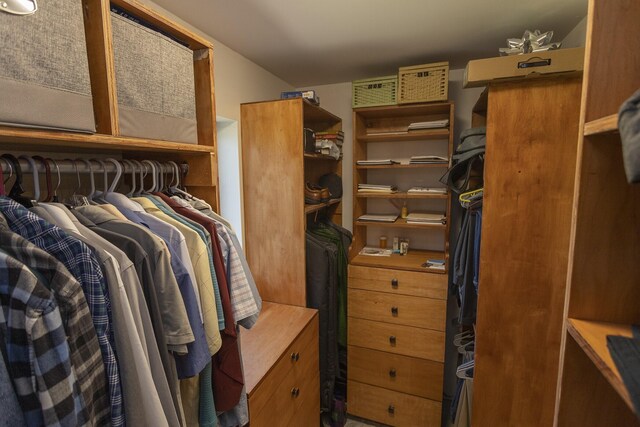 view of walk in closet