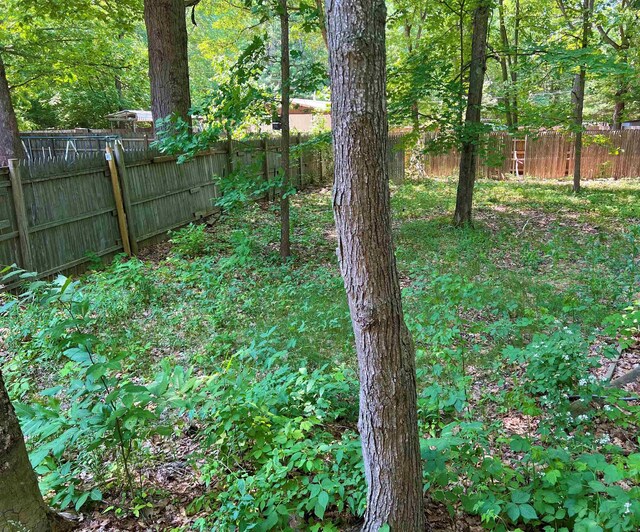 2520 Artist Ave, Interlochen, MI 49643 - view of fenced backyard