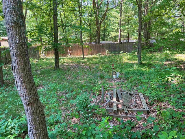 2520 Artist Ave, Interlochen, MI 49643 - view of yard