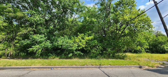 4257 Mount Elliott St, Detroit, MI 48207 - photo 2