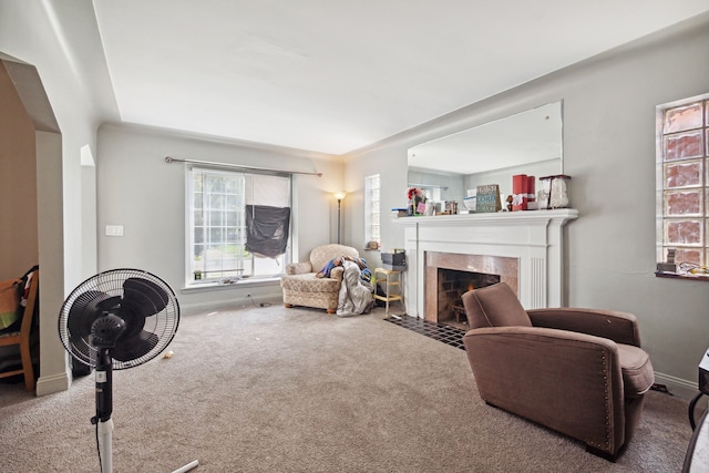 living room with a fireplace and carpet