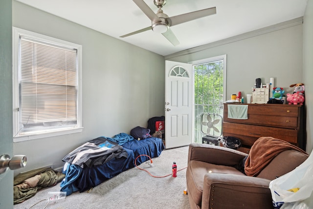 bedroom with carpet flooring, ceiling fan, and ornamental molding