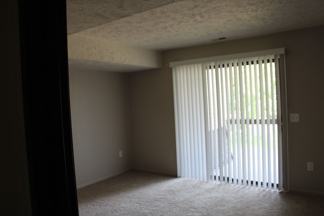 empty room with a healthy amount of sunlight, carpet floors, and a textured ceiling