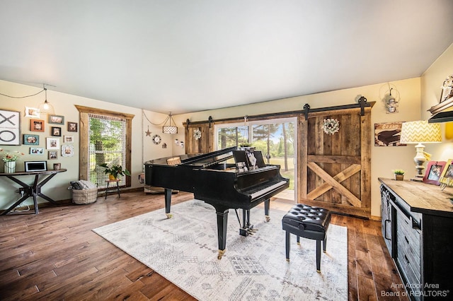 miscellaneous room featuring a barn door, a healthy amount of sunlight, and wood-type flooring