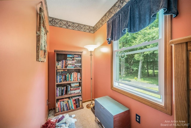 sitting room with carpet and a textured ceiling