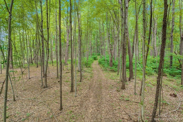 view of nature