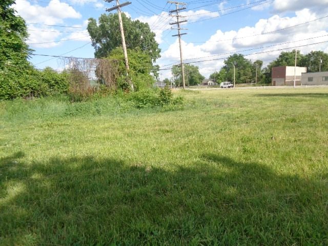 3620 30th St, Detroit, MI 48210 - photo 6