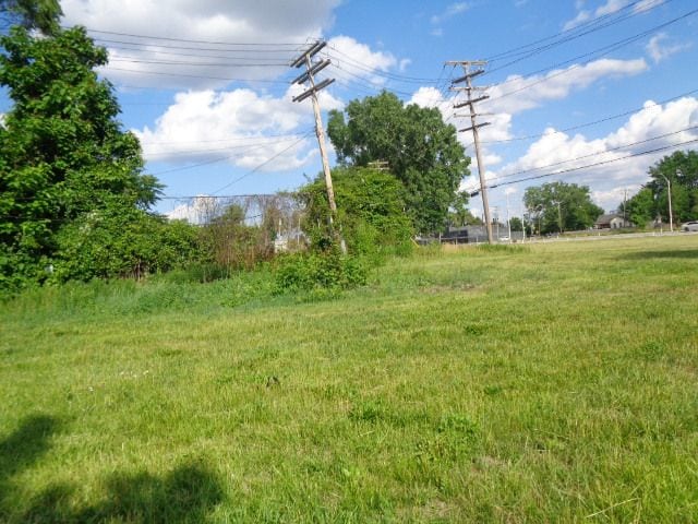 3620 30th St, Detroit, MI 48210 - photo 5