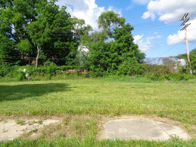 3620 30th St, Detroit, MI 48210 - photo 4