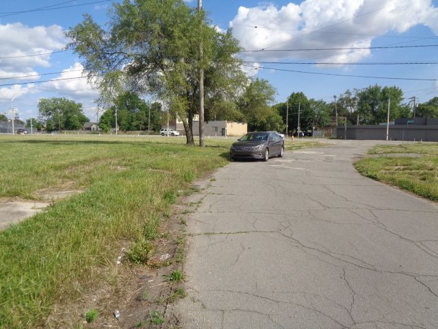 3620 30th St, Detroit, MI 48210 - photo 9