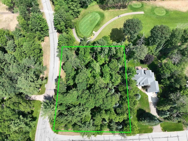 LOT5 White Pine Dr, Cadillac, MI 49601