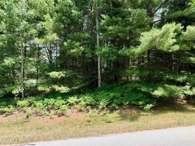 Listing photo 3 for LOT5 White Pine Dr, Cadillac MI 49601