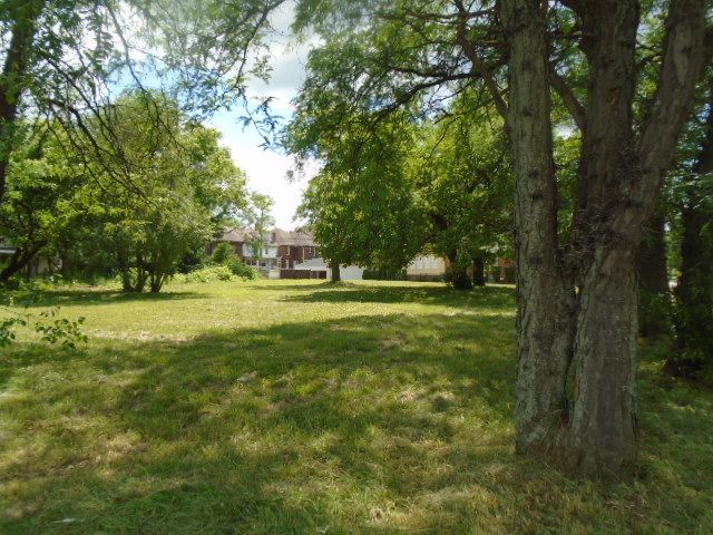 35 Edison St, Detroit, MI 48202 - photo 6
