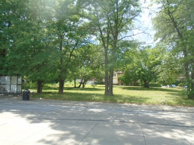 35 Edison St, Detroit, MI 48202 - photo 10