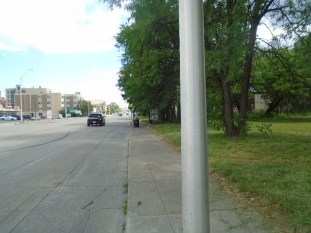 35 Edison St, Detroit, MI 48202 - photo 20