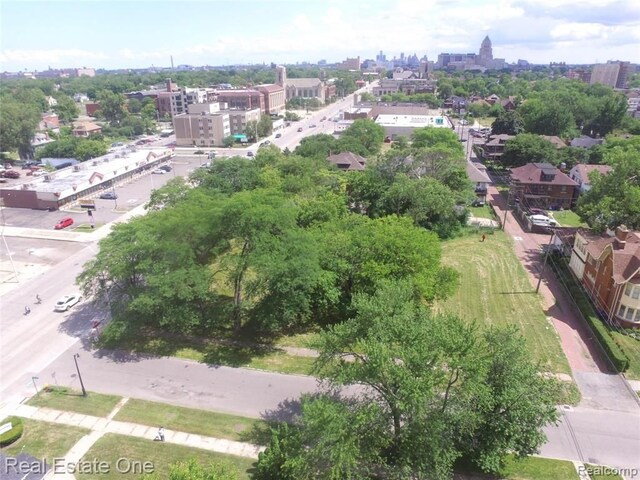 35 Edison St, Detroit, MI 48202 - photo 4