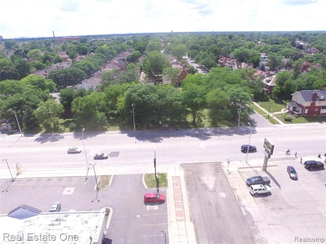 35 Edison St, Detroit, MI 48202 - photo 5