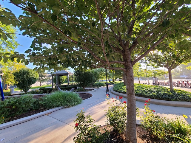677 Selden St, Detroit, MI 48201 - view of property's community with a gazebo