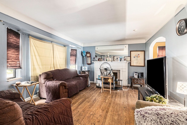 living room featuring hardwood / wood-style flooring