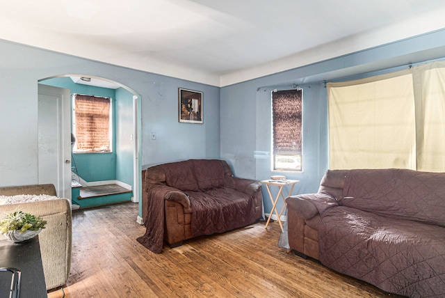 living room featuring hardwood / wood-style flooring