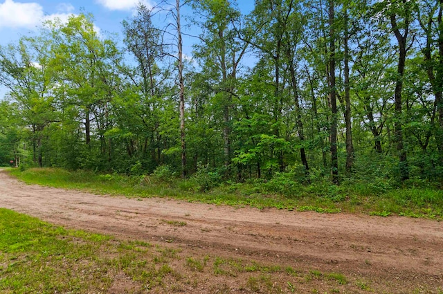 V/L W Pontiac St, Baldwin MI, 49304 land for sale