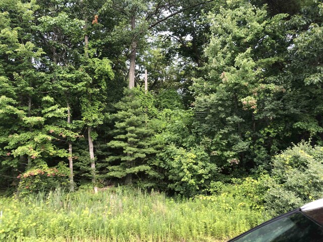 0 US-23, East Tawas, MI 48730 - photo 2