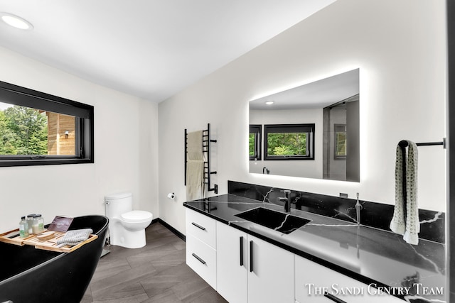 bathroom with vanity, toilet, and plenty of natural light