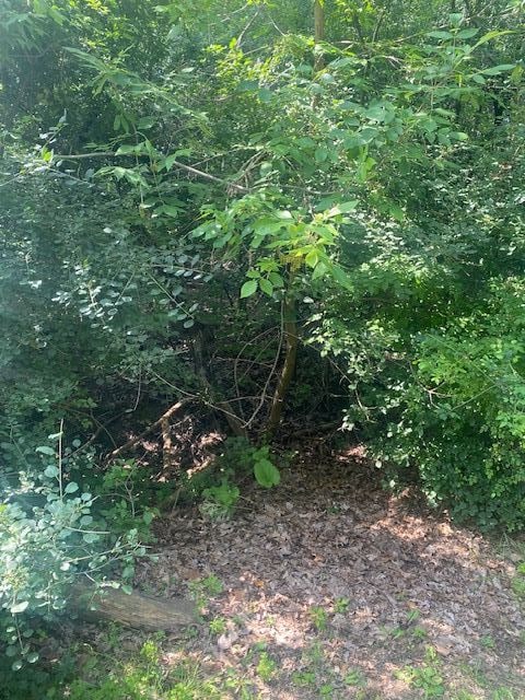 4.8ACRES Westview Rd, Bloomfield Hills, MI 48304