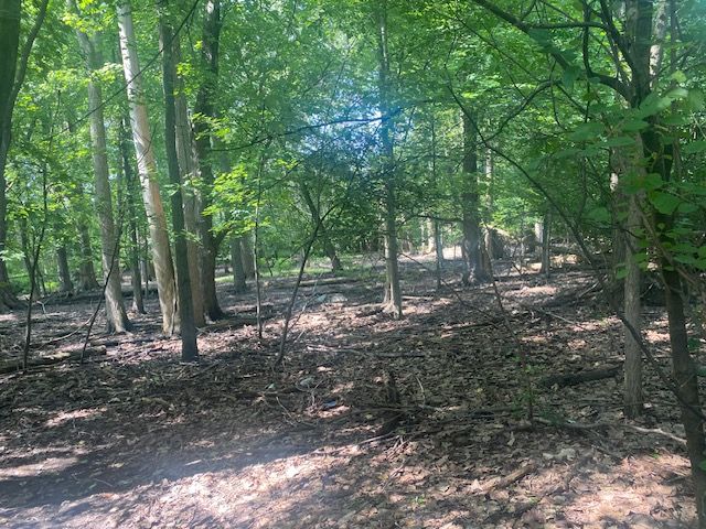 4.8ACRES Westview Rd, Bloomfield Hills, MI 48304