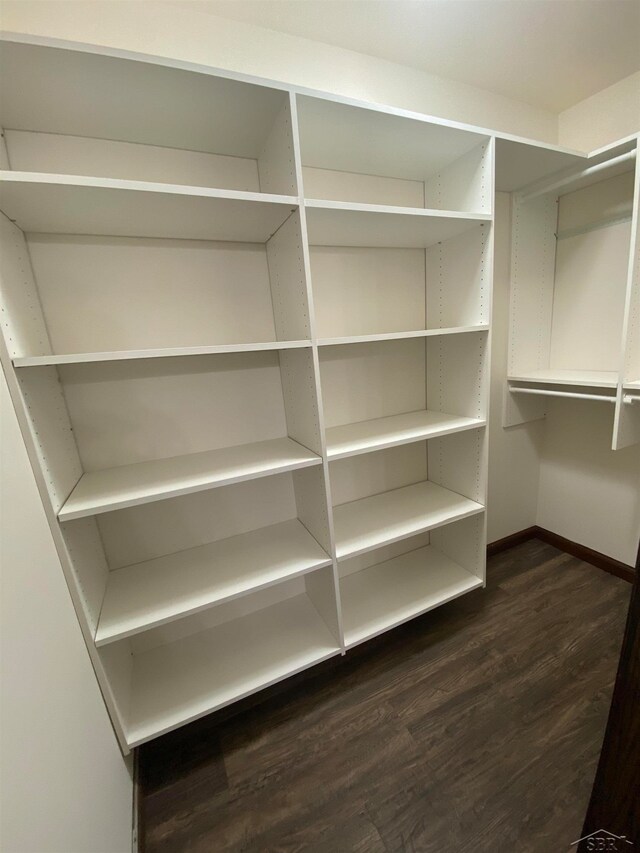 walk in closet with dark hardwood / wood-style floors