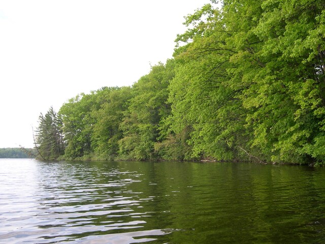 1589 Edgewater Rdg, Traverse City, MI 49684