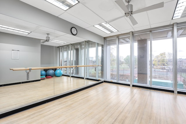 exercise area featuring expansive windows, a healthy amount of sunlight, wood-type flooring, and ceiling fan